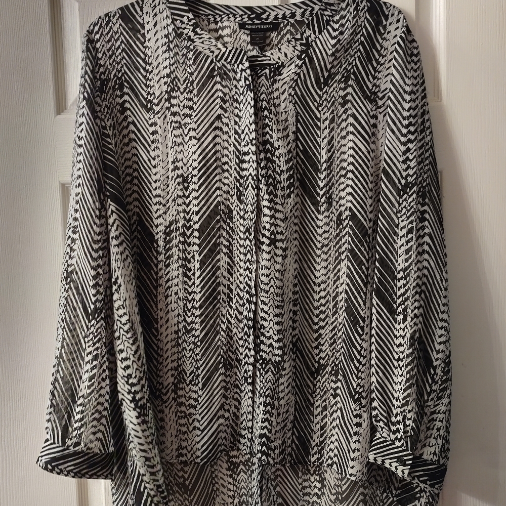 Sheer Blouse